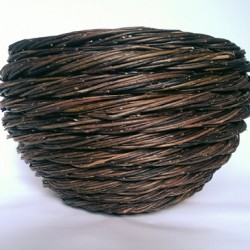 Hatton Willow