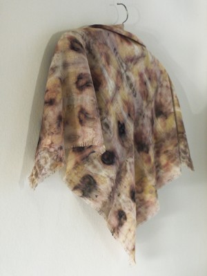 Claire Cawte